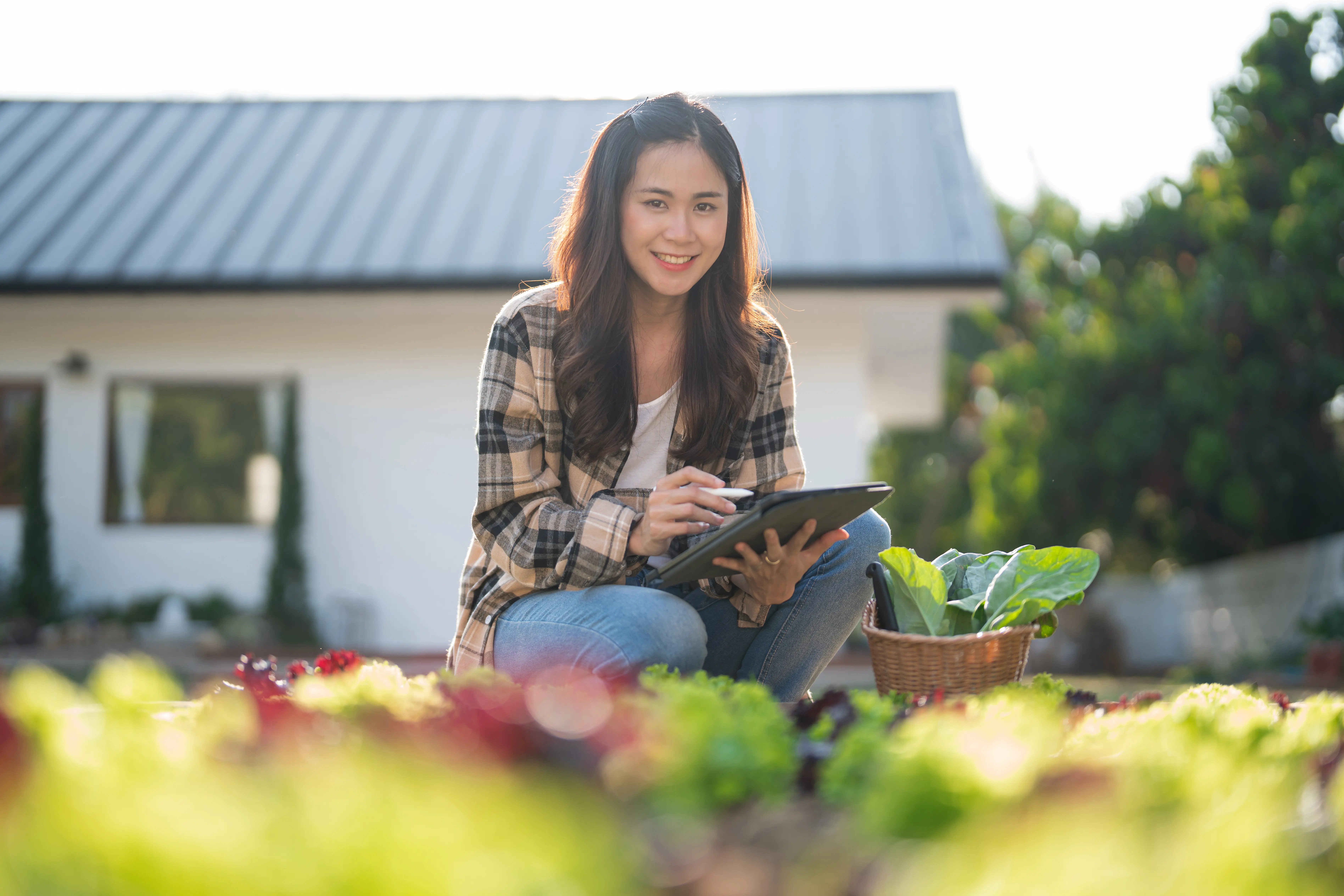 A female gardener enters data on a tablet while tending to and checking the growth of vegetables in a home garden.